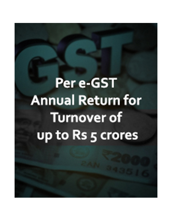  GST e-Compliances