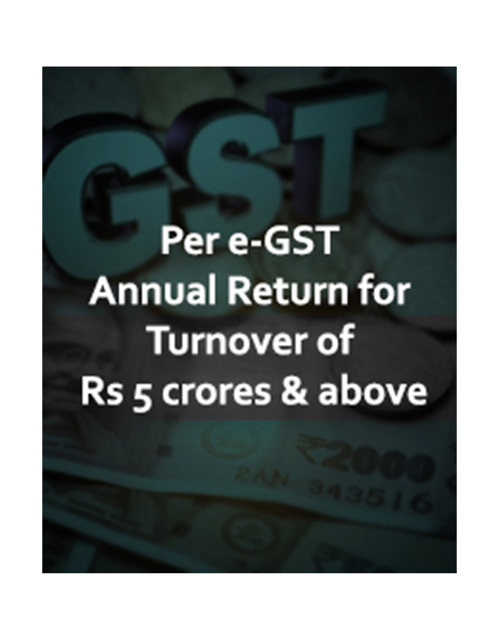  GST e-Compliances