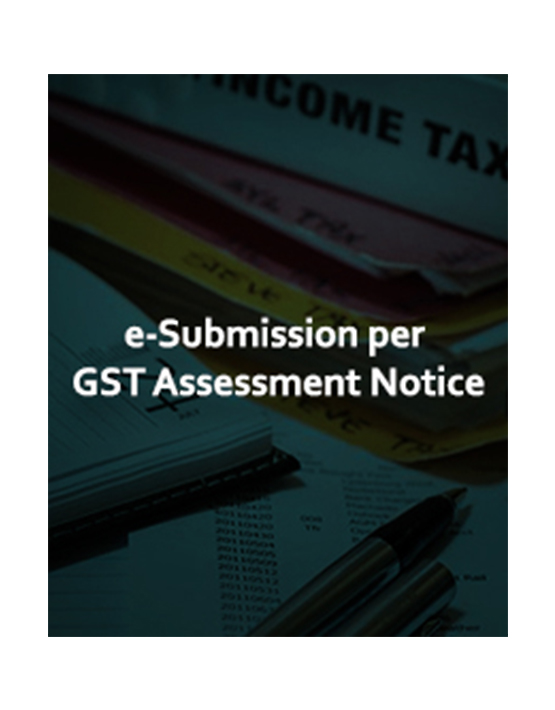  GST e-Compliances