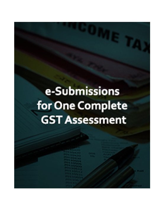  GST e-Compliances