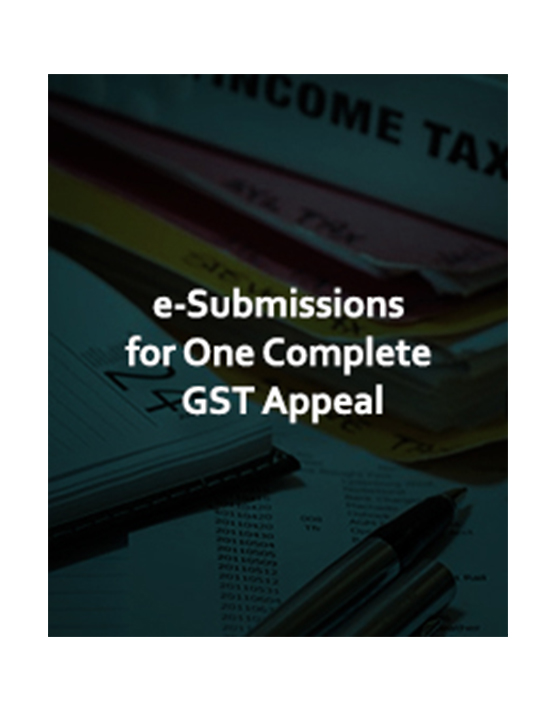  GST e-Compliances